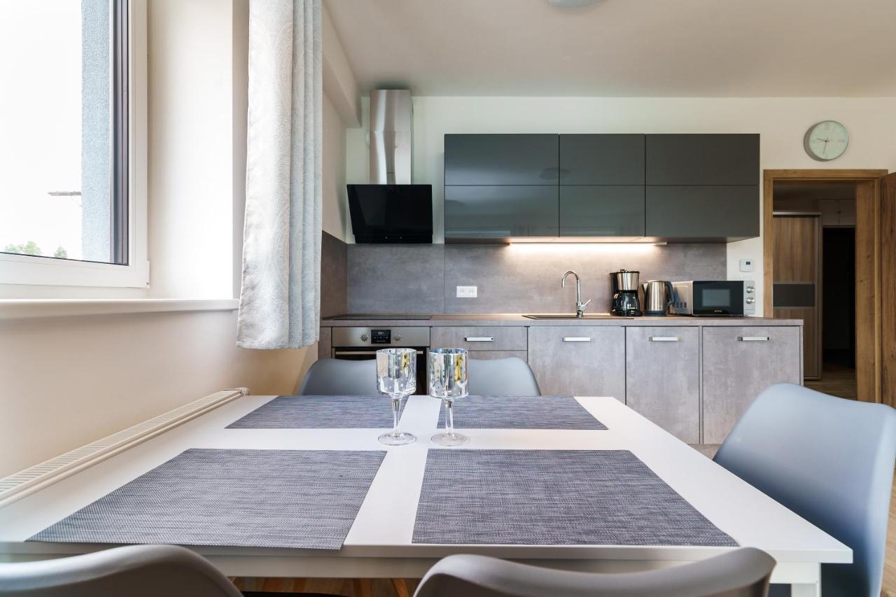 Green Apartment Klinovec By Mountain Ways Loučná pod Klínovcem Eksteriør billede