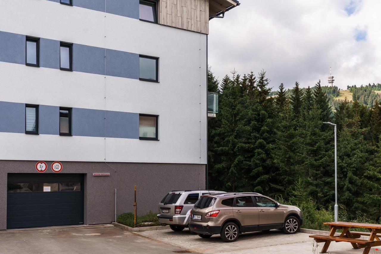 Green Apartment Klinovec By Mountain Ways Loučná pod Klínovcem Eksteriør billede