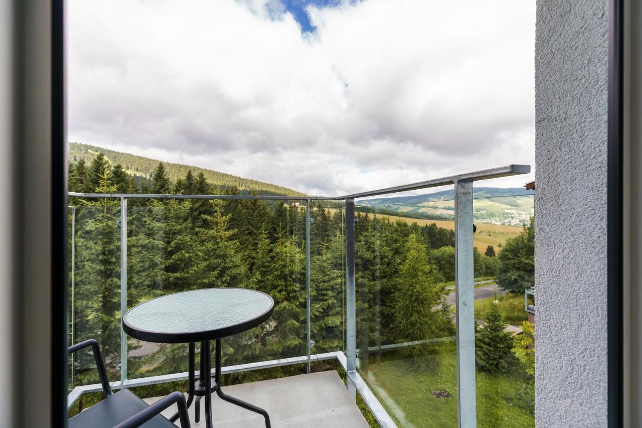 Green Apartment Klinovec By Mountain Ways Loučná pod Klínovcem Eksteriør billede